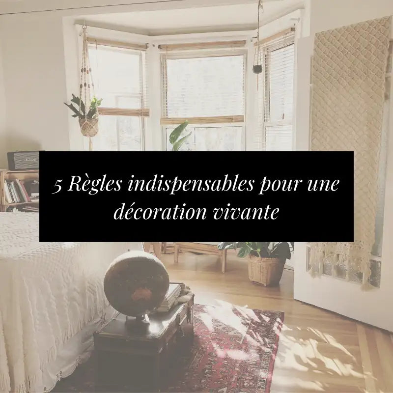une décoration chambre vivante