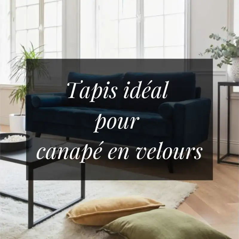 Canapé en velours avec tapis assorti dans un salon élégant - Collection de tapis Mazir