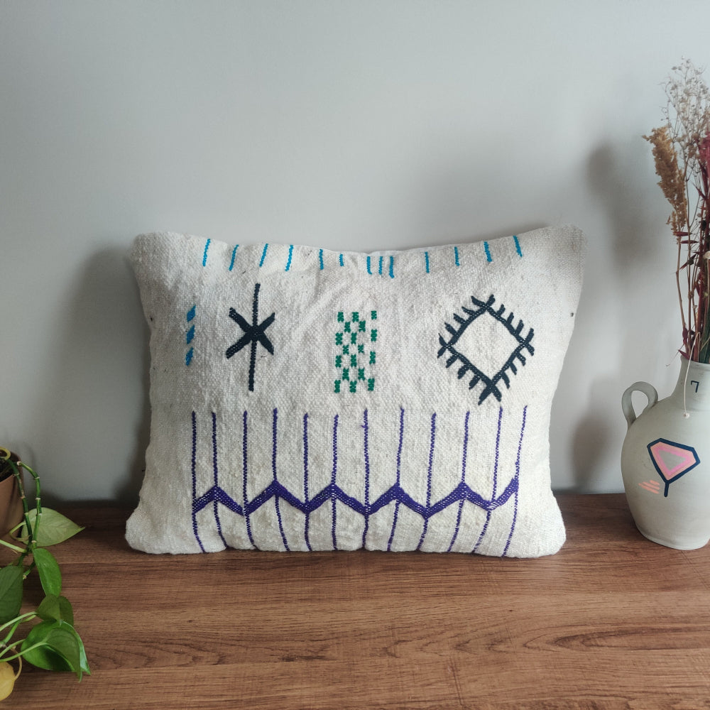 coussin Kilim Marocain ethnique