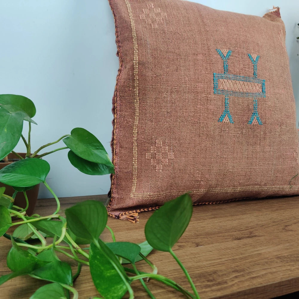 Coussin Sabra Marron <br> Soie de Cactus