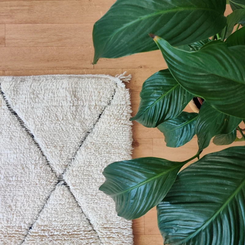 tapis marocain blanc avec une plante verte