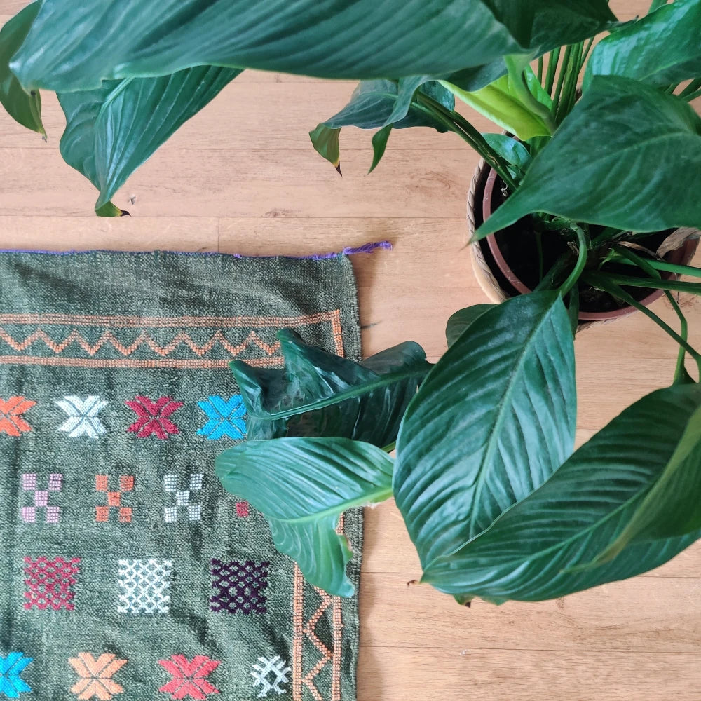 Tapis marocain vert bohème <br> 95x140 cm - MAZIR Décoration