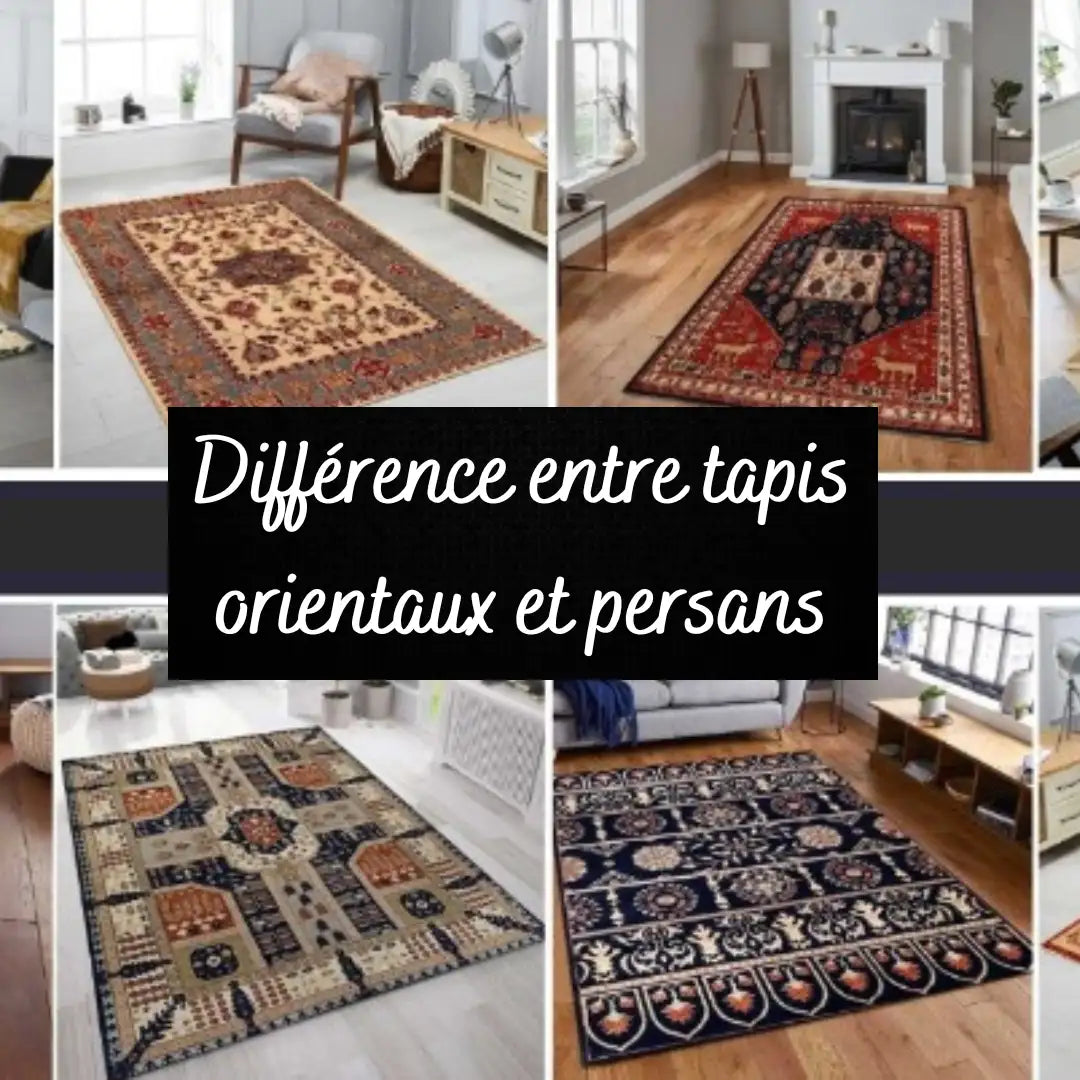 tapis orientaux vs tapis persans