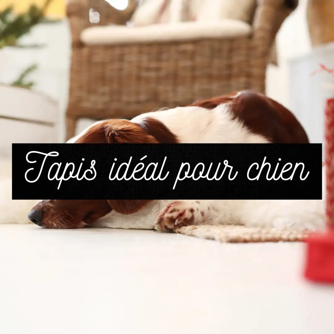 Tapis pour chien - Mazir décoration