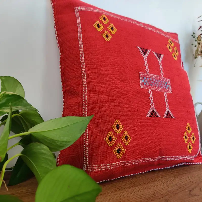 Vue approchée du Coussin Sabra Rouge Vintage 