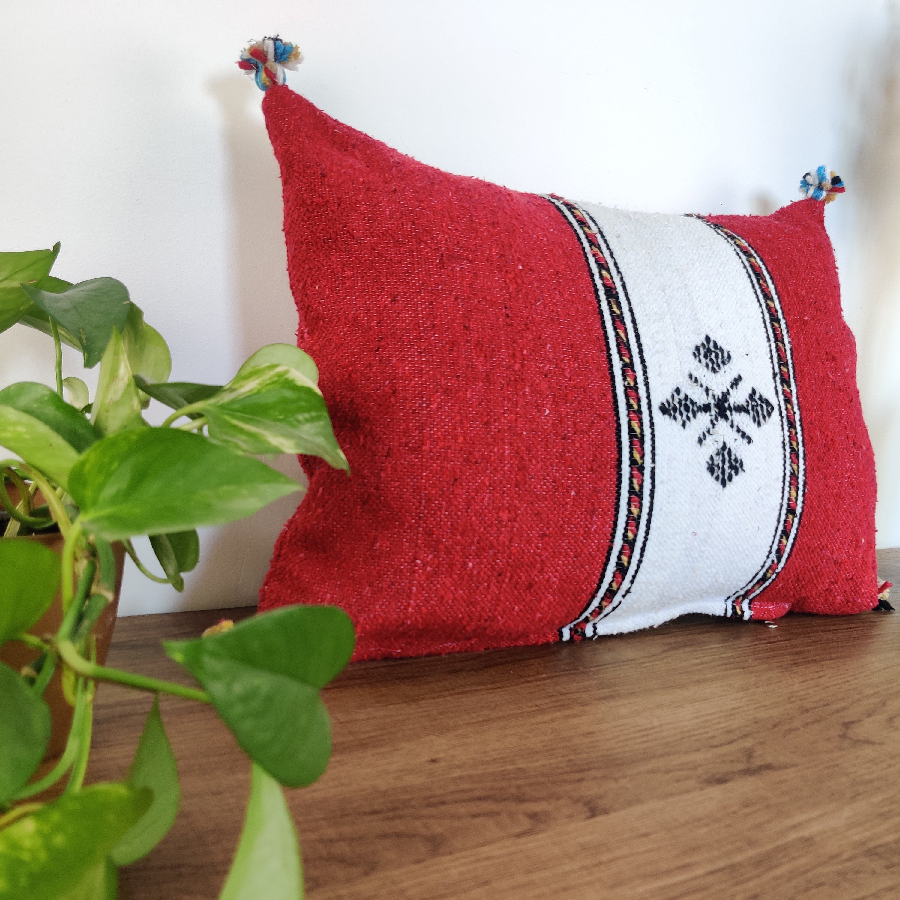 Coussin rectangulaire rouge et blanc