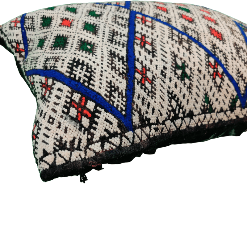 ravissant Coussin Kilim losange