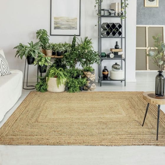Tapis jute naturel de salon - Tapis