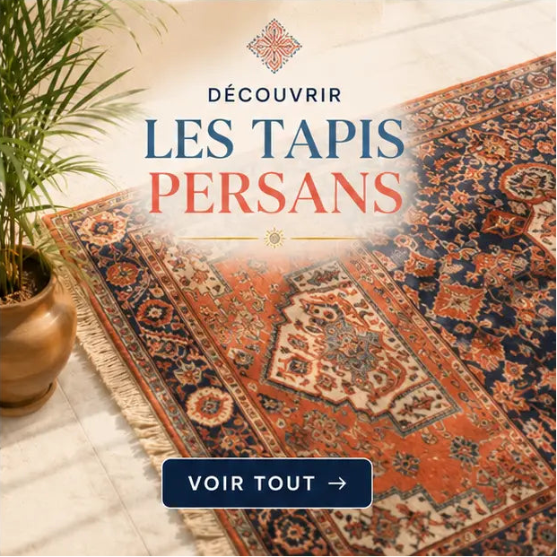tapis_persan_soldes