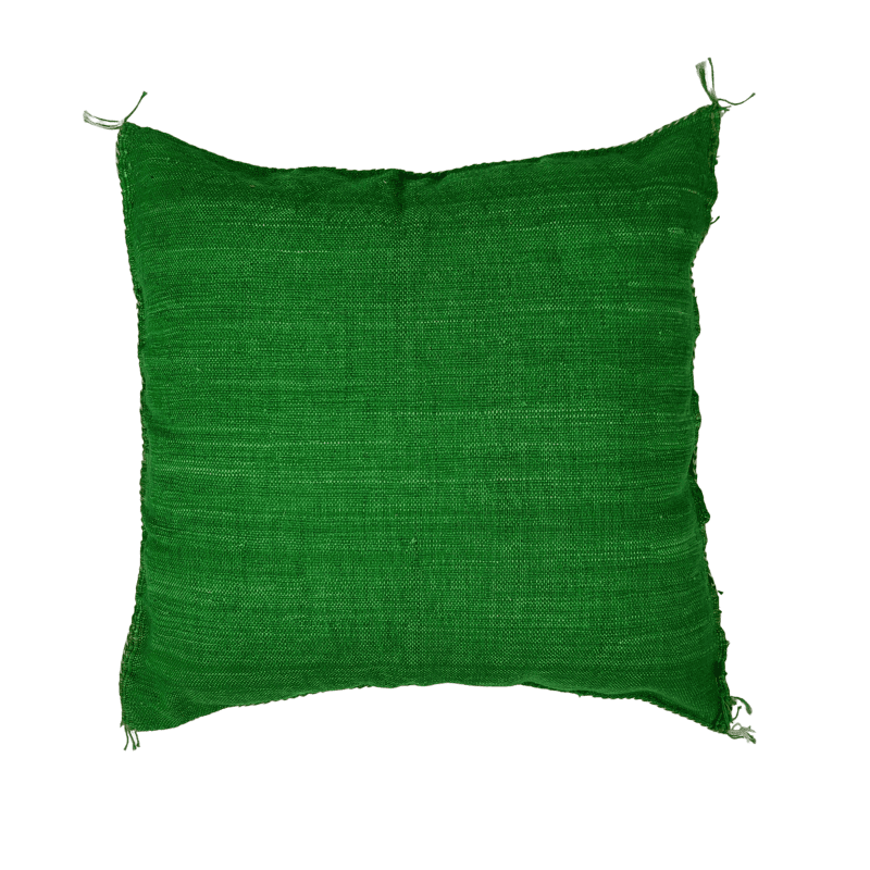 Coussin Sabra Soie de Cactus